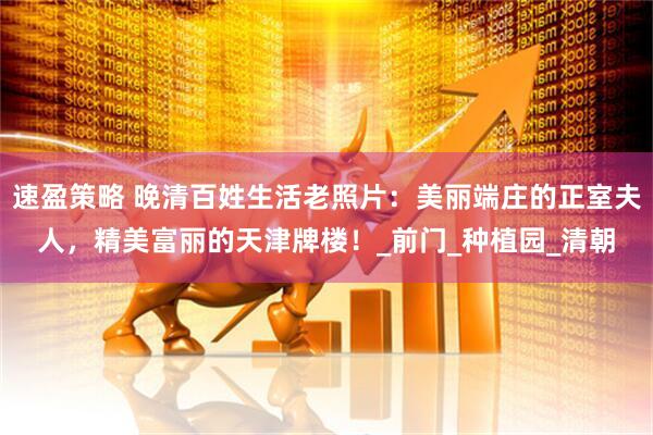 速盈策略 晚清百姓生活老照片：美丽端庄的正室夫人，精美富丽的天津牌楼！_前门_种植园_清朝