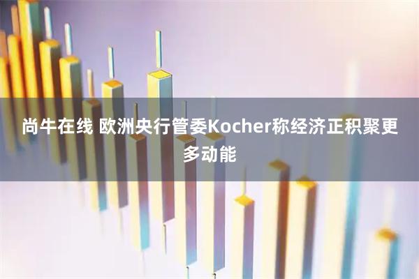 尚牛在线 欧洲央行管委Kocher称经济正积聚更多动能